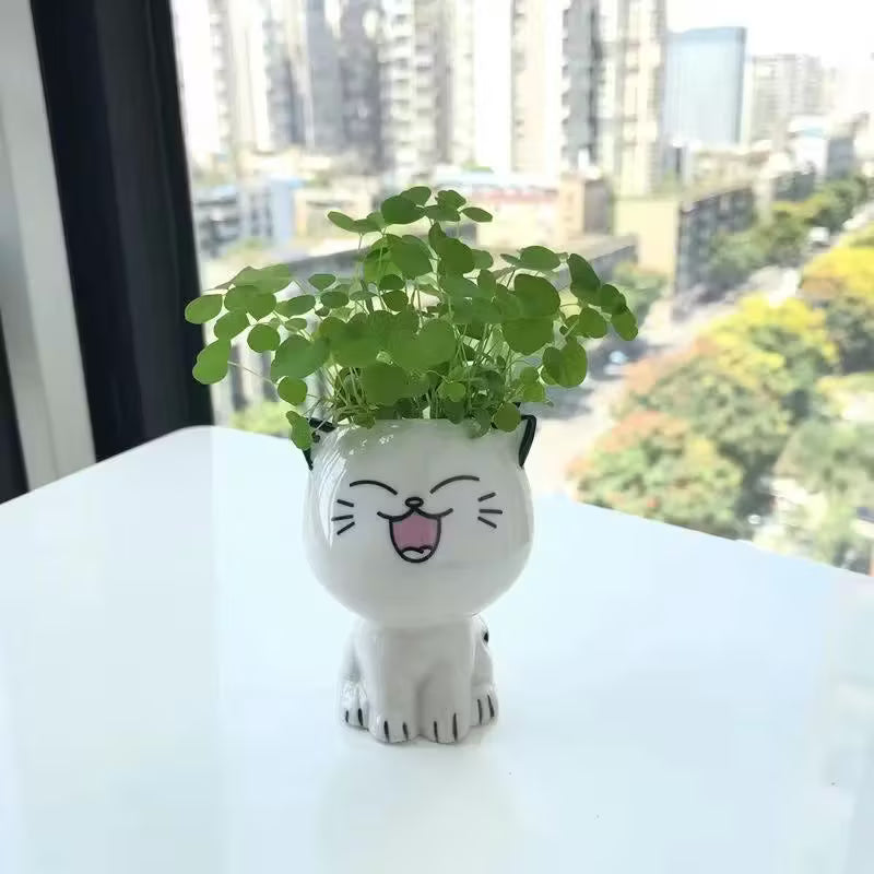 Ceramic Cat Cartoon Planters