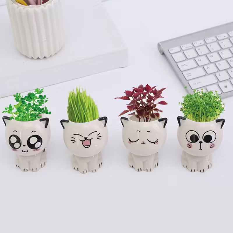 Ceramic Cat Cartoon Planters
